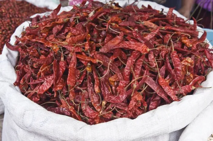 Framed Print : Latin America, Guatemala, Western Highlands, Santiago de Atitlan, Chilli Peppers For Sale Framed Print : Latin America, Guatemala, Western Highlands, Santiago de Atitlan, Chilli Peppers For Sale