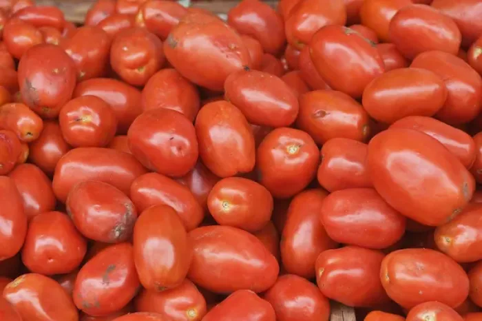 Framed Print : Latin America, Guatemala, Western Highlands, Santiago de Atitlan, Tomatoes For Sale Framed Print : Latin America, Guatemala, Western Highlands, Santiago de Atitlan, Tomatoes For Sale