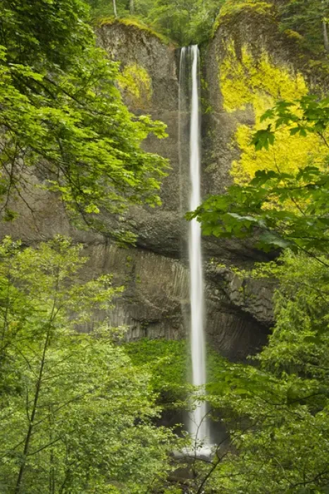 Framed Print : Latourell Falls, Columbia Gorge, Oregon, USA Framed Print : Latourell Falls, Columbia Gorge, Oregon, USA