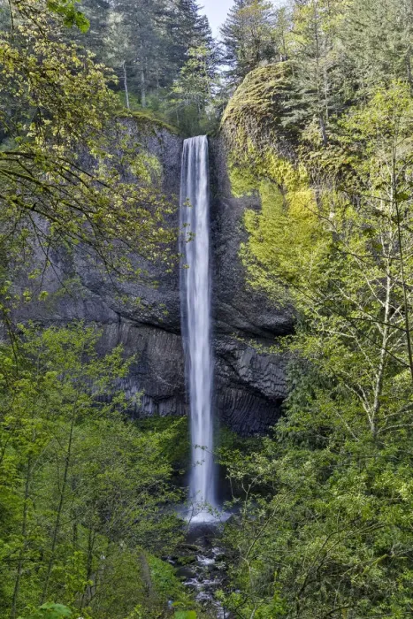 Framed Print : Latourell Falls Columbia River Gorge National Senic Area, Oregon Framed Print : Latourell Falls Columbia River Gorge National Senic Area, Oregon
