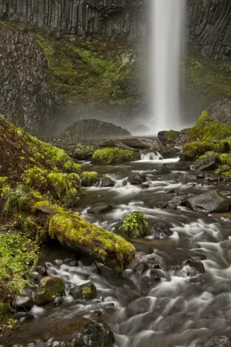 Framed Print : Latourell Falls; Guy S. Talbot State Park; Columbia Gorge; Oregon; USA Framed Print : Latourell Falls; Guy S. Talbot State Park; Columbia Gorge; Oregon; USA