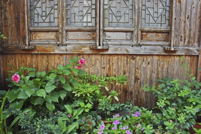 Framed Print : Latticed windows of an old house on Ziyang street in the old town, Linhai