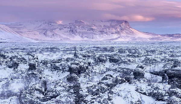 Lava field Dimmuborgir during winter near lake Myvatn in the highlands of Iceland in deep snow