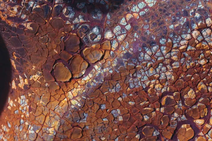 Framed Print : Layers of worn auto paint abstract Framed Print : Layers of worn auto paint abstract