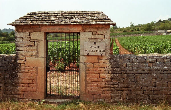 Le Grand Montrachet, Domaine Jacques Prieur, Duverget, Taboureau. An iron gate and stone wall