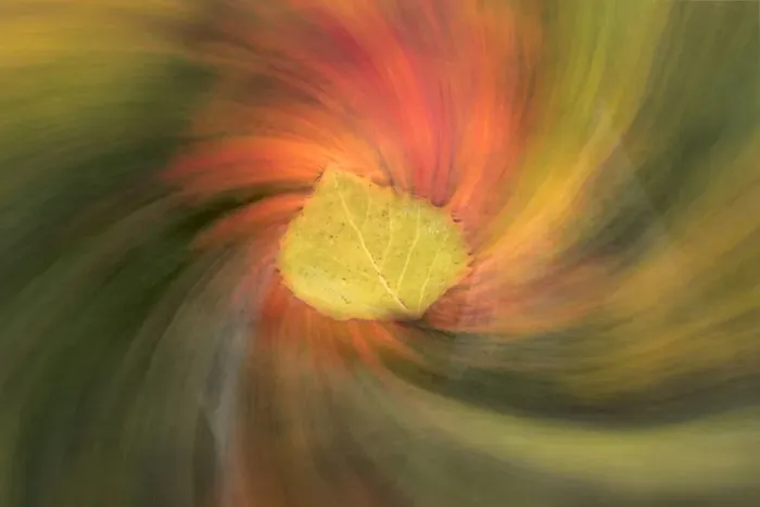 Framed Print : Leaf and swirling abstract fall colors along shoreline of Council Lake Framed Print : Leaf and swirling abstract fall colors along shoreline of Council Lake