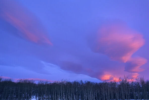 Lenticular Clouds above aspen grove near Baab Montana