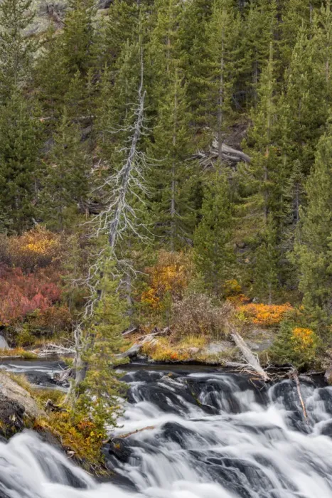 Framed Print : Lewis Falls, Yellowstone National Park, Wyoming