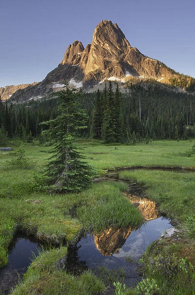 Liberty Bell Mountain reflected in still waters of State Creek, in meadows of, Washington Pass