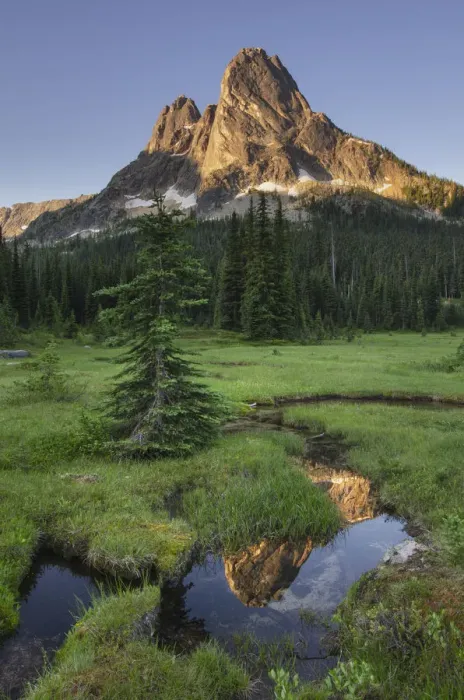 Framed Print : Liberty Bell Mountain reflected in still waters of State Creek, in meadows of, Washington Pass