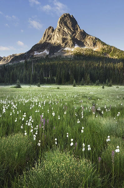 Liberty Bell Mountain seen from meadows of Washington Pass, North Cascades, Washington