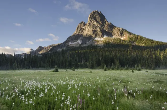 Framed Print : Liberty Bell Mountain seen from meadows of Washington Pass, North Cascades, Washington Framed Print : Liberty Bell Mountain seen from meadows of Washington Pass, North Cascades, Washington