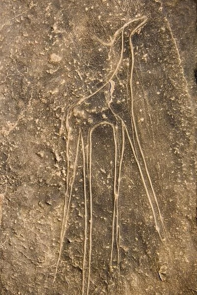 Libya, Fezzan, Abaho prehistoric engraving