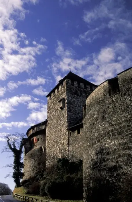 Framed Print : Liechtenstein, Vaduz. Vaduz Castle Framed Print : Liechtenstein, Vaduz. Vaduz Castle