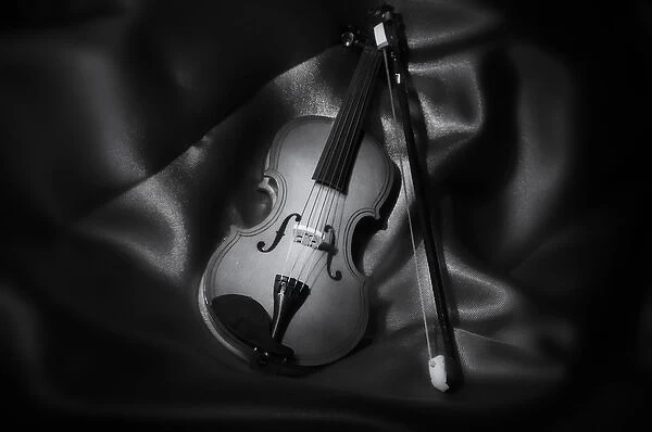 A still life black and white image of a vioin