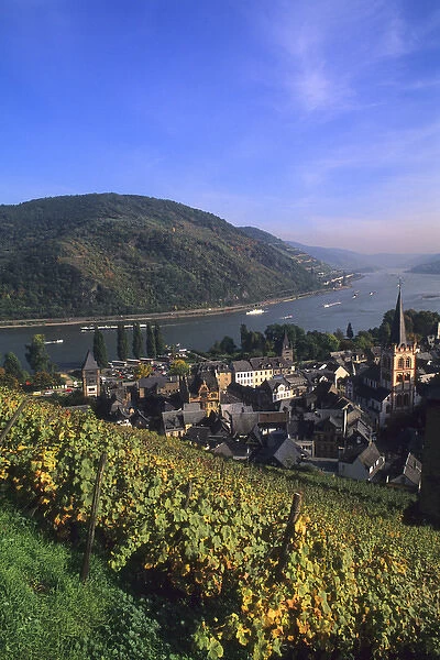 Life in Germany in wine country on the famous Rhine River in the wine fields above