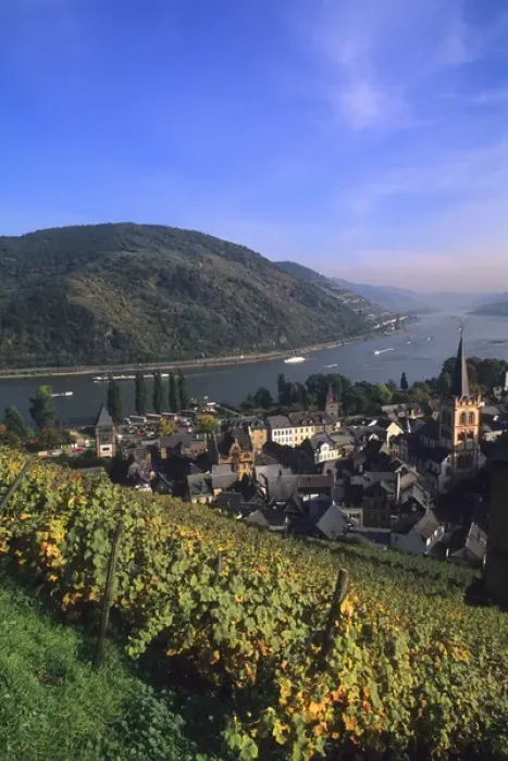 Framed Print : Life in Germany in wine country on the famous Rhine River in the wine fields above Framed Print : Life in Germany in wine country on the famous Rhine River in the wine fields above