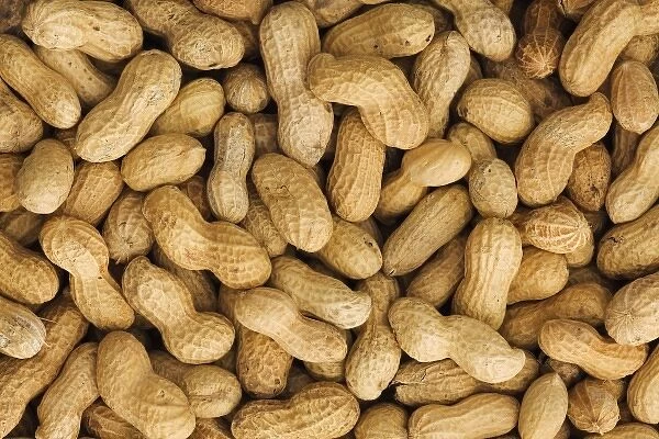 Lifestyle. Close-up of unshelled peanuts
