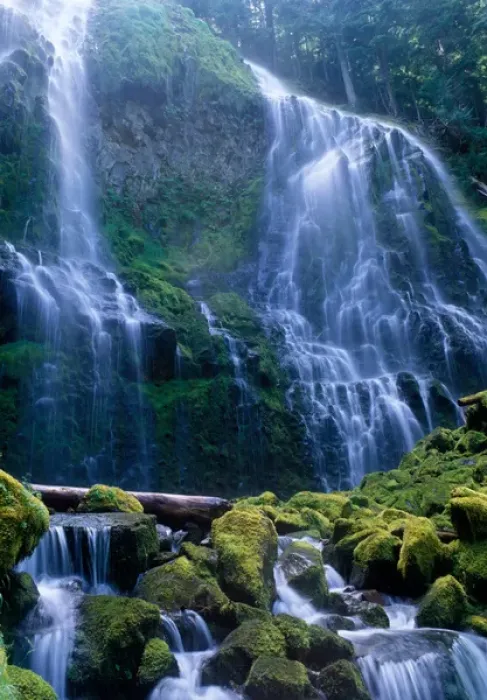 Framed Print : Light on Proxy Falls in the central Oregon Cascades Framed Print : Light on Proxy Falls in the central Oregon Cascades