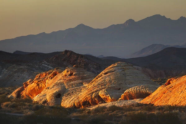 Last light on red sandstone or Aztec Sandstone, Valley of Fire, Nevada