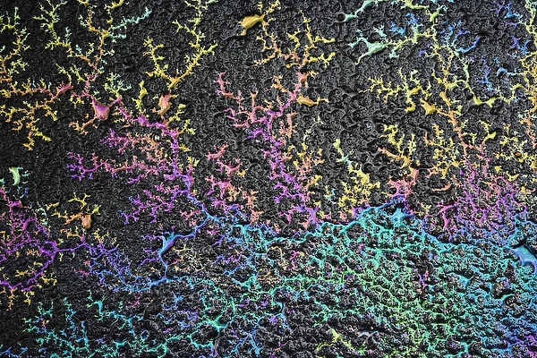 Light refracted in motor oil on wet asphalt pavement revealing a rainbow pattern of colors