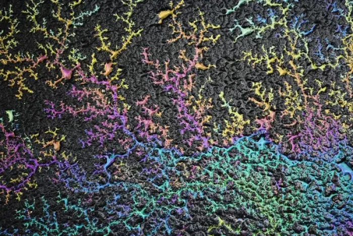 Framed Print : Light refracted in motor oil on wet asphalt pavement revealing a rainbow pattern of colors Framed Print : Light refracted in motor oil on wet asphalt pavement revealing a rainbow pattern of colors