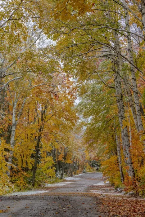 Framed Print : Light snowfall on Wyoming Road near Copper Harbor in the Upper Peninsula of Michigan, USA Framed Print : Light snowfall on Wyoming Road near Copper Harbor in the Upper Peninsula of Michigan, USA