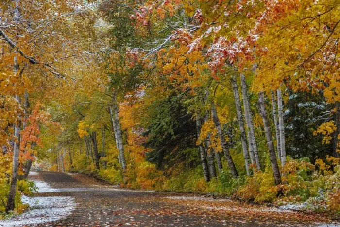 Framed Print : Light snowfall on Wyoming Road near Copper Harbor in the Upper Peninsula of Michigan, USA Framed Print : Light snowfall on Wyoming Road near Copper Harbor in the Upper Peninsula of Michigan, USA