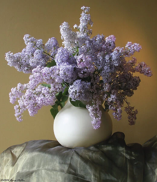 Lilac flowers in vase