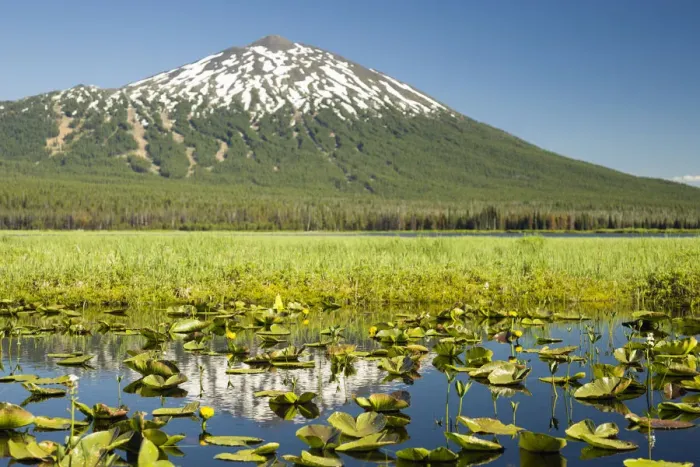 Framed Print : Lilly pads, marsh at Dutchman Flats, near Sparks Lake, Eastern Oregon, USA Framed Print : Lilly pads, marsh at Dutchman Flats, near Sparks Lake, Eastern Oregon, USA