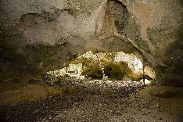 Limestone cave, Cayman Brac, Cayman Islands, Caribbean