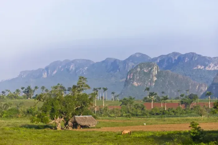 Framed Print : Limestone hill, farming land and tobacco drying house, Vinales Valley, UNESCO World Heritage site Framed Print : Limestone hill, farming land and tobacco drying house, Vinales Valley, UNESCO World Heritage site