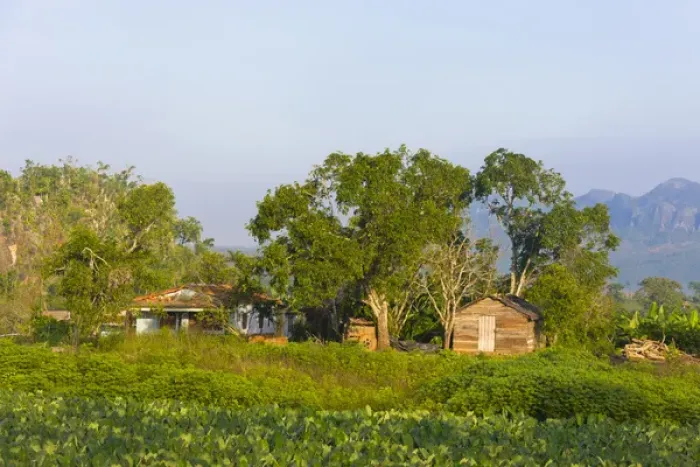 Framed Print : Limestone hill, farming land and village house, Vinales Valley, UNESCO World Heritage site Framed Print : Limestone hill, farming land and village house, Vinales Valley, UNESCO World Heritage site