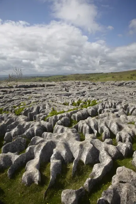 Framed Print : Limestone Pavement, Malham Cove, near Malham Village, Yorkshire Dales National Park Framed Print : Limestone Pavement, Malham Cove, near Malham Village, Yorkshire Dales National Park