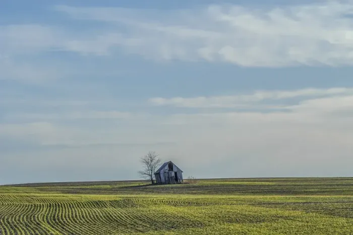 Framed Print : Little barn in the middle of a wheat field Framed Print : Little barn in the middle of a wheat field