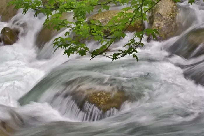 Framed Print : Little Pigeon River in motion, Greenbrier, Great Smoky Mountains National Park, Tennessee
