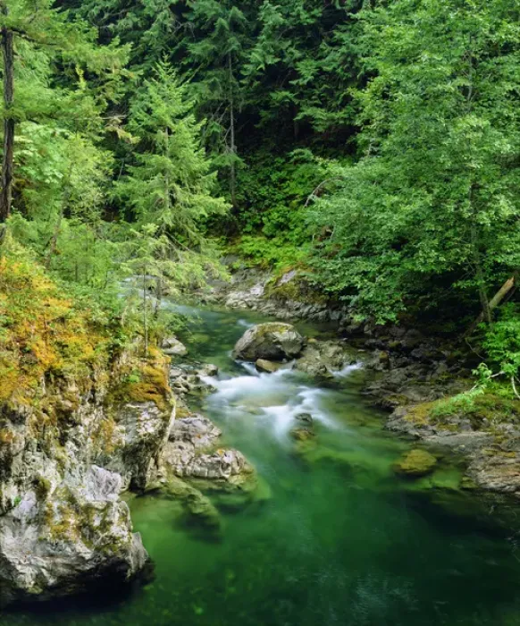 Framed Print : Little Qualicum River on Vancouver Island, Canada Framed Print : Little Qualicum River on Vancouver Island, Canada