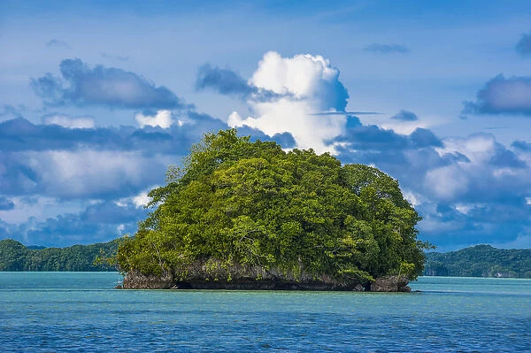 Little rock islet in the famous Rock islands, Palau, Central Pacific