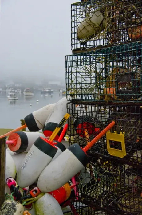 Framed Print : Lobster fishing thrives in Bass Harbor Maine