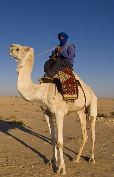 Local Bedouin man on camel ride in Douz in Sahara Desert in Tunisia Africa