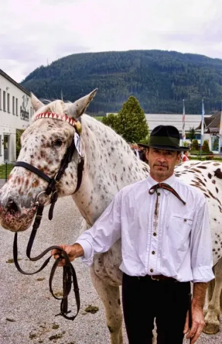 Framed Print : Local man with horse for show at horse show event in Tamsweg Austria alpine village