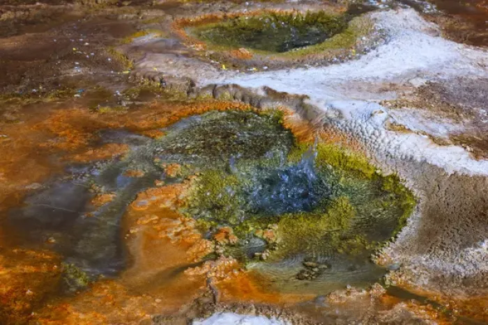 Framed Print : Located in the vast pools of geothermal activity at El Tatio, chemicals deep in Framed Print : Located in the vast pools of geothermal activity at El Tatio, chemicals deep in