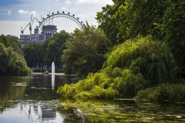 Framed Print : London Eye reflection on the lake in Victoria Park, United Kingdom Framed Print : London Eye reflection on the lake in Victoria Park, United Kingdom