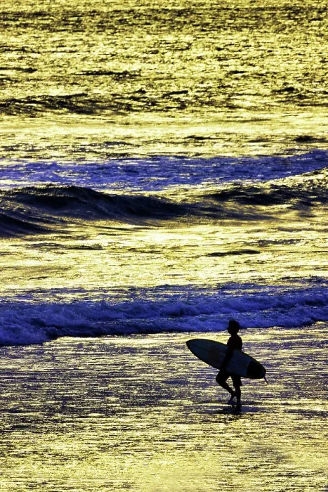 Framed Print : Lone surfer along the beach entering the surf