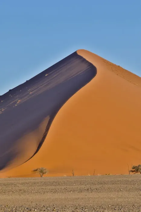 Framed Print : Lone tree and tall sand dune, Sossusvlei, Namibia