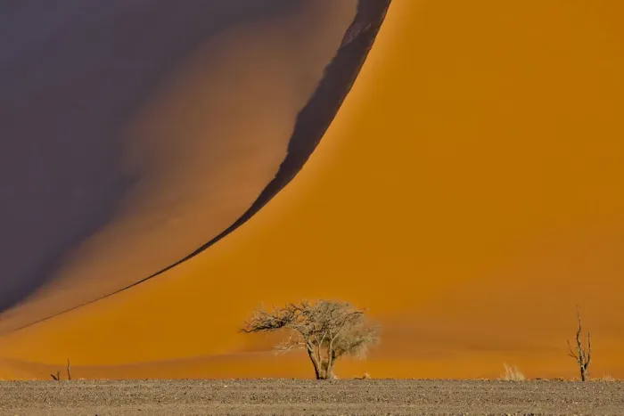 Framed Print : Lone tree and tall sand dune, Sossusvlei, Namibia Framed Print : Lone tree and tall sand dune, Sossusvlei, Namibia