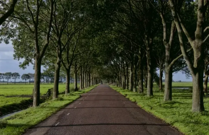 Framed Print : Lonely road at sunset in farming area of Edam village near Amsterdam, Netherlands