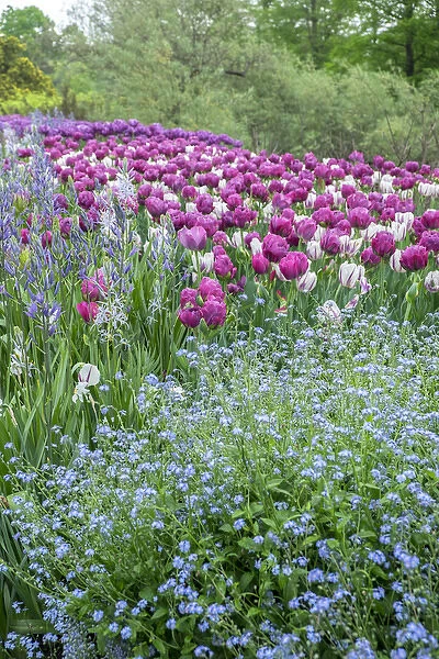 Longwood Gardens, spring flowers, Kennett Square, Pennsylvania, USA