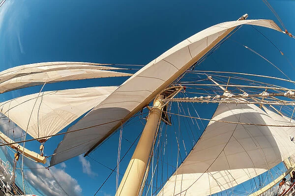 Looking up the at a mast and sails of a barquentine cruise ship. Deshaies, Basse Terre Island, Iles des Saintes, Guadeloupe, West Indies