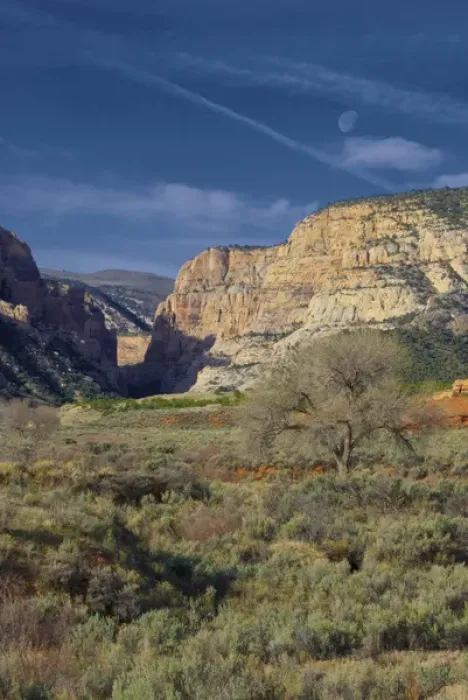 Framed Print : Looking up pool creek canyon, Dinosaur National Monument, Utah